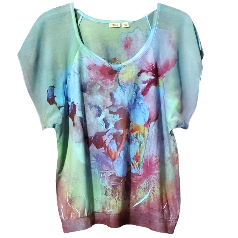 Cato Floral Chiffon Style Top